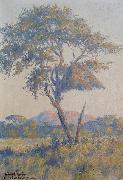 unknow artist Landscape in Namibia china oil painting artist